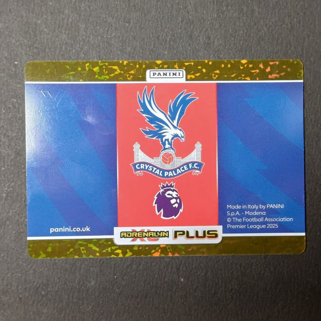 Crystal Palace Numbered Parallel 3/5 Chemistry - Panini Adrenalyn Plus - Osiris TCG